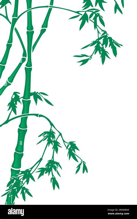 Vector Illustration Of Bamboo Stock Vector Image Art Alamy