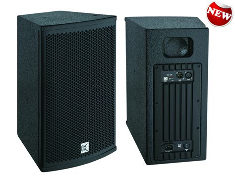 Professional Stage Speaker System With Impressive And Punch Sound