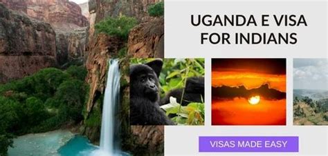 Uganda Visa Application Services in Noida | ID: 2851582393362