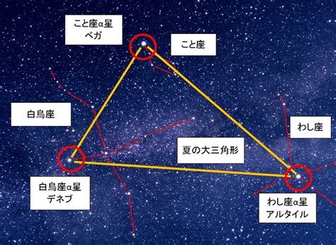 七夕の織姫、彦星の位置や距離とは？夏の大三角形も一緒に紹介！ とはとは