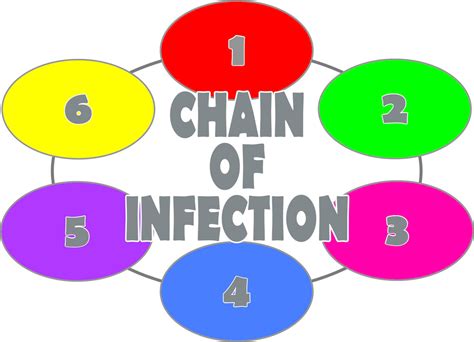 Chain Of Infection Diagram Diagram Quizlet