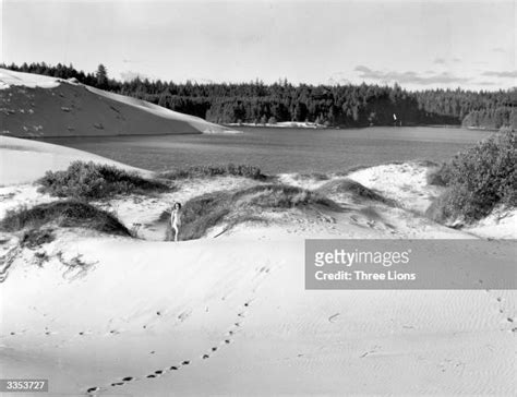 85 Florence Sand Dunes Stock Photos, High-Res Pictures, and Images ...