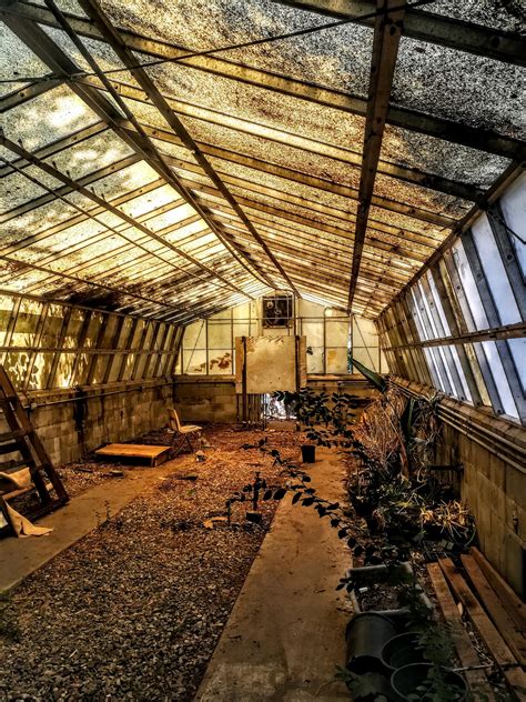 Abandoned Greenhouse In Los Angeles 2976x3968 OC R AbandonedPorn