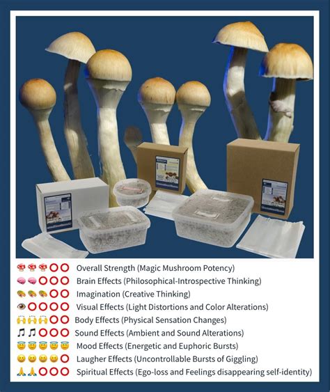 The Best Magic Mushroom Grow Kits Grow Psychedelic Mushrooms