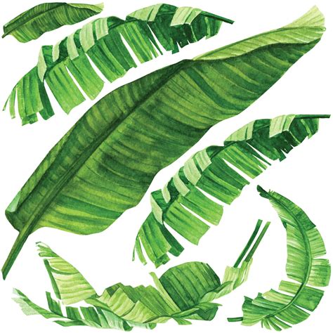 Stickers Nature Feuilles Tropicales Stickers STICKERS NATURE Feuilles