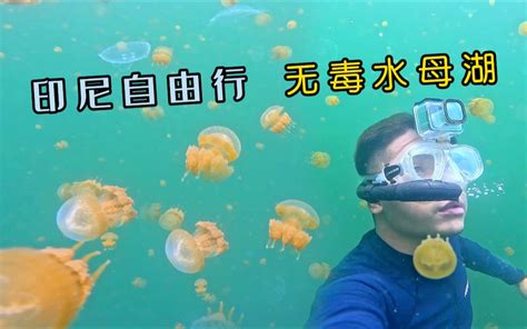 《环球探海记》阿曼~第16天：这里海胆泛滥，中东土豪都不吃吗？