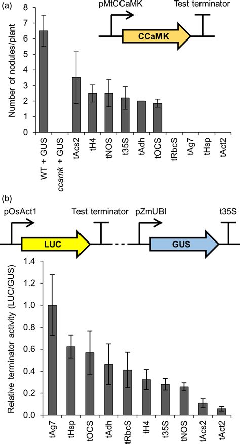 Terminators From The Standard Genetic Parts Library Show Varying Levels