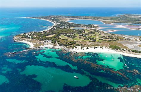 Rottnest Island