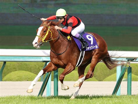 【画像】【大阪杯】ジャックドール 逃げ切りvでgi初制覇！武豊騎手は最年長gi勝利記録更新 13 ライブドアニュース