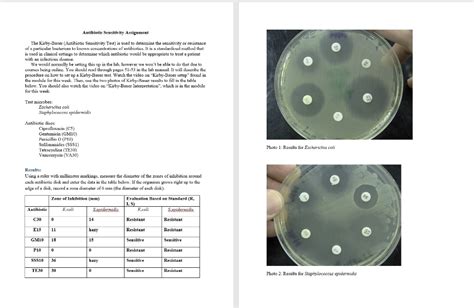 Solved Antibiotic Sensitivity Assignment The Kirby Bauer Chegg