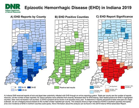 Dnr Epizootic Hemorrhagic Disease Ehd