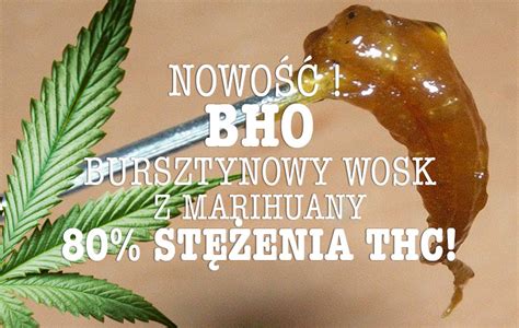 Nowo Bho Bursztynowy Wosk Z Marihuany Cannabis News