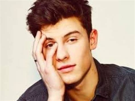 Você Conhece Mesmo O Shawn Mendes Quizur