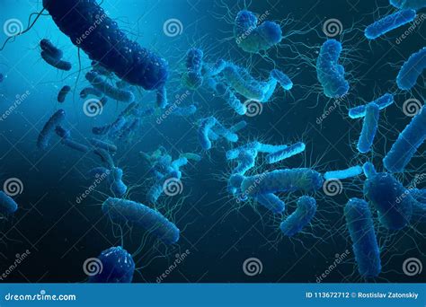 Negativas Proteobacteria Bactéries De Gramme D Enterobacterias Telles