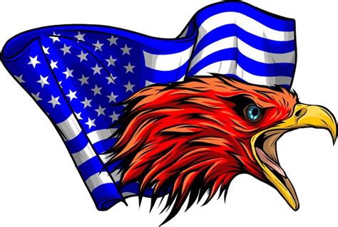 Vector Illustation American Eagle Against Usa Flag And White Background