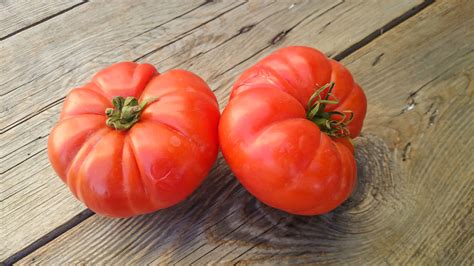 Rouge De Marmande Tomato Seeds Farmhouse Seeds