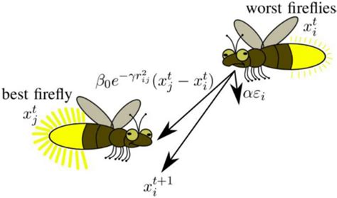 Basic mechanism of the firefly approach | Download Scientific Diagram