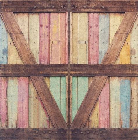 Photography Backdrop FREE SHIPPING Distressed Wood Barn Door