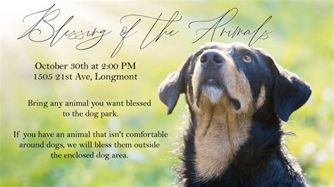 Blessing of the Animals October 30 REVISED - Heart of Longmont