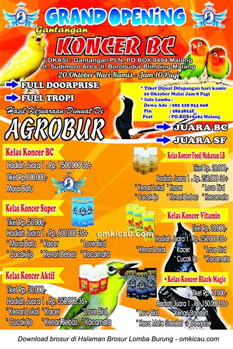 Brosur Lomba Burung Berkicau Launching Gantangan Koncer Bc Malang