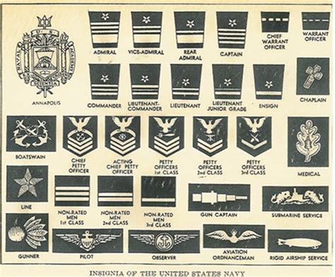 7 Best Images of Navy Rank Chart Printable - United States Navy Rank Chart, US Navy Rank ...