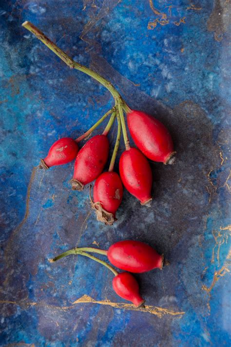 Free Images Fruit Flower Food Red Produce Color Blue Still