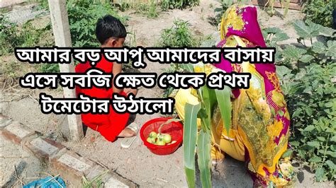 আমার বড় আপুর কাছেও খুবই ভালো লাগছে আমাদের বাসায় আসার পর থেকে সবজি