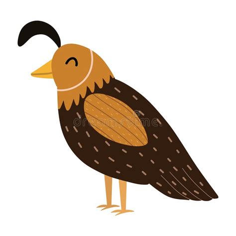 Cute Quail Bird Isolated on White Background. Doodle Animal in Cartoon