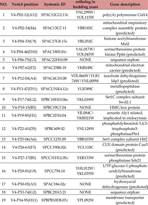 Suppressor Of Pma1 In Schizosaccharomyces Pombe Fission Yeast And The