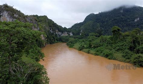 Projek Empangan Nenggiri Bukan Punca Gajah Liar Ganggu Penduduk