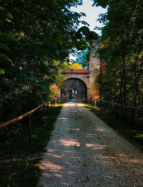 Apple iPhone 8 sample photo - XG3tNdux7i - ExploreCams