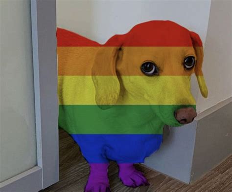 He Finally Came Out In 2022 Dog Memes Silly Dogs Funny Dogs