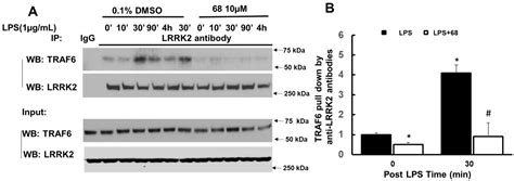 Cells Free Full Text A Lrrk2 Gtp Binding Inhibitor 68 Reduces Lps