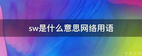 Sw是什么意思网络用语 业百科