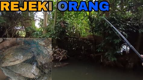 NEMU SPOT IKAN NILEM BABON MANCING IKAN NILEM MELEM YouTube