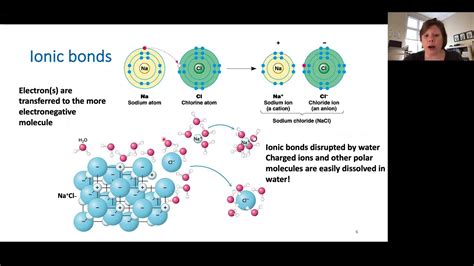 Biol Biochem Weak Bonds Youtube