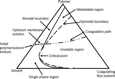 qualitative illustration   phase diagram