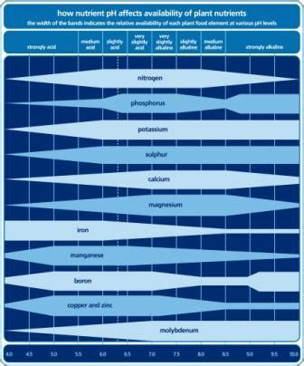 Chart Of The Effect Of Soil Ph On Nutrient Availability - Chart Walls