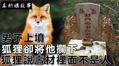 民間故事：男子上墳，狐狸卻將他攔下，狐狸說：壽材裡面不是人｜高朗講故事 Youtube