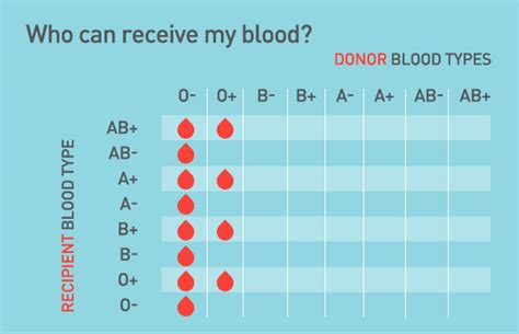 traits   positive blood type     blood blood types