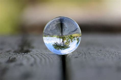 Water Droplet Reflecting Tree In Macro Shot Natural Landscape Sky