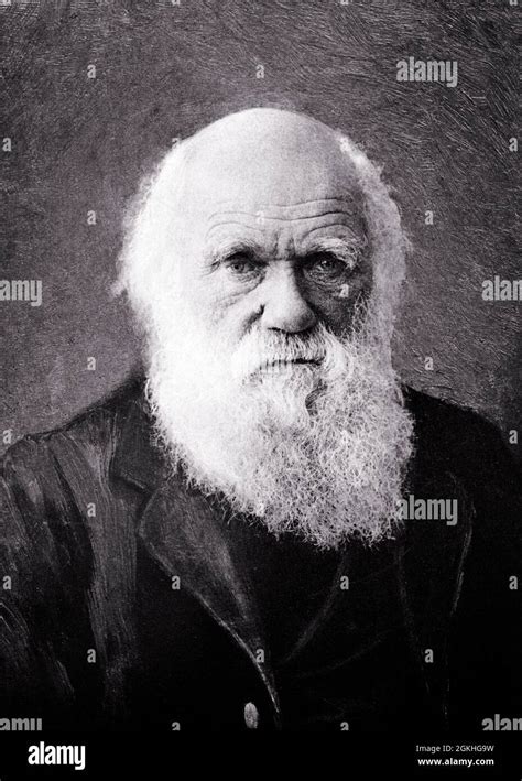 Charles Robert Darwin English Naturalist Geologist Theory Evolution