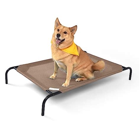 Top 10 Elevated Dog Beds In 2024 Ultimate Guide