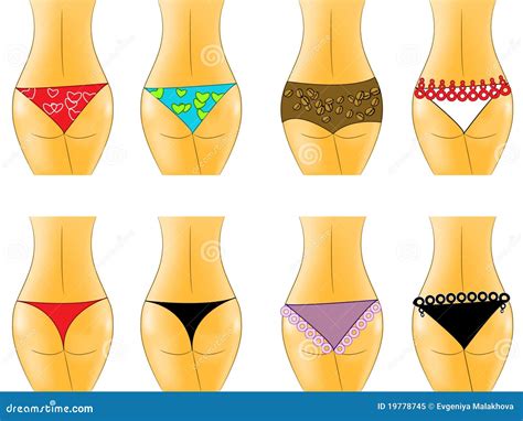 Panties Stock Vector Illustration Of Collection Panties 19778745