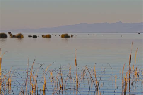 Autumn Evening Te Waihora Lake Ellesmere New Zealand Flickr