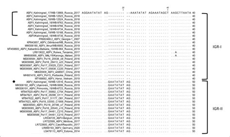 Figure Nucleotide Sequence Alignment Of The Intergenic Region Between