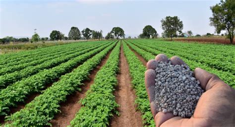 How To Invest In Fertilizer Stocks Profitable Investing Tips