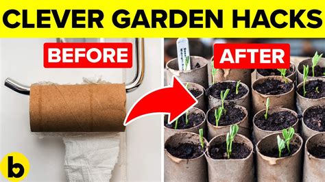 Clever Garden Hacks That You Should Know Gardening Chronicle