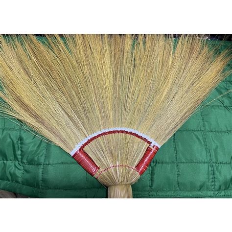 Baguio Jumbo Walis Tambo Lazada PH