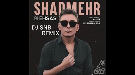 Shadmehr Aghili Bi Ehsas DJ SNB Remix YouTube